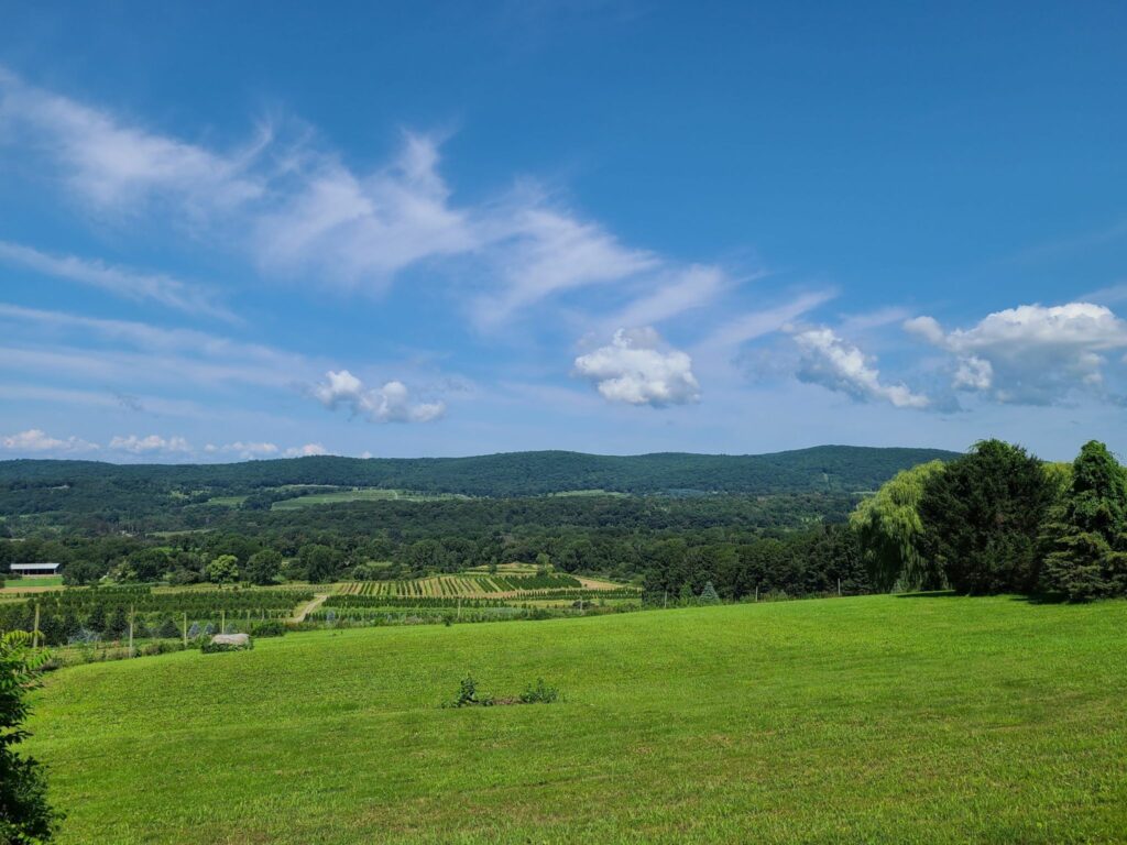 View from North Mountain Rd 