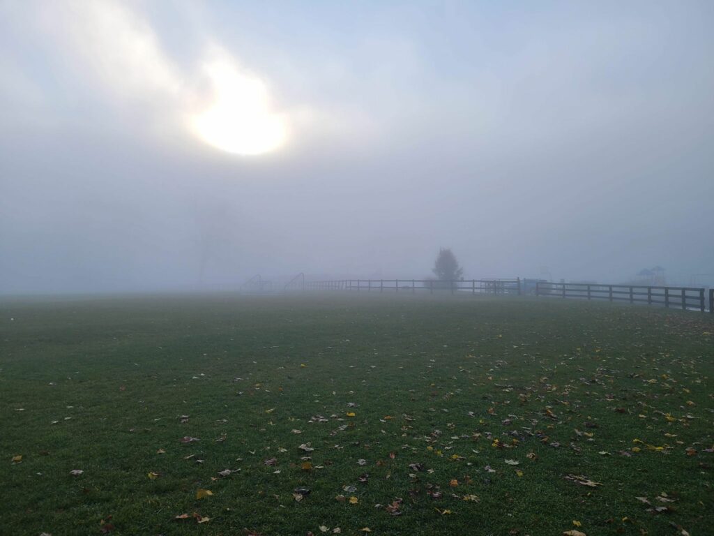 Misty/foggy morning start