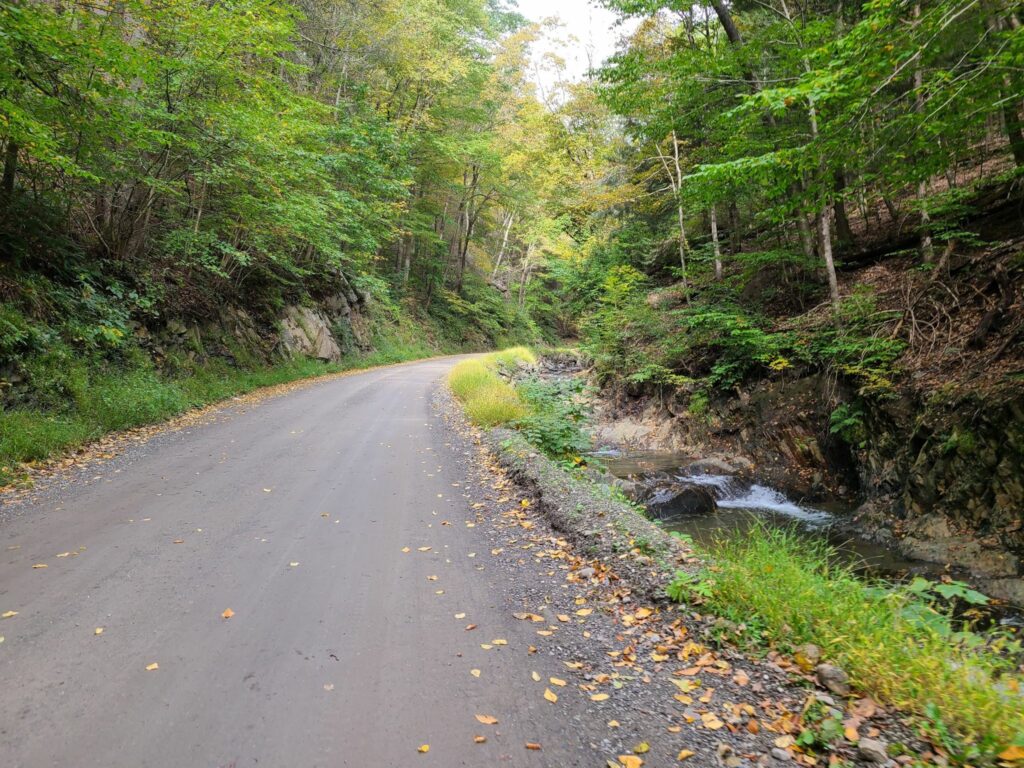 A dirt road with a brook running along the side