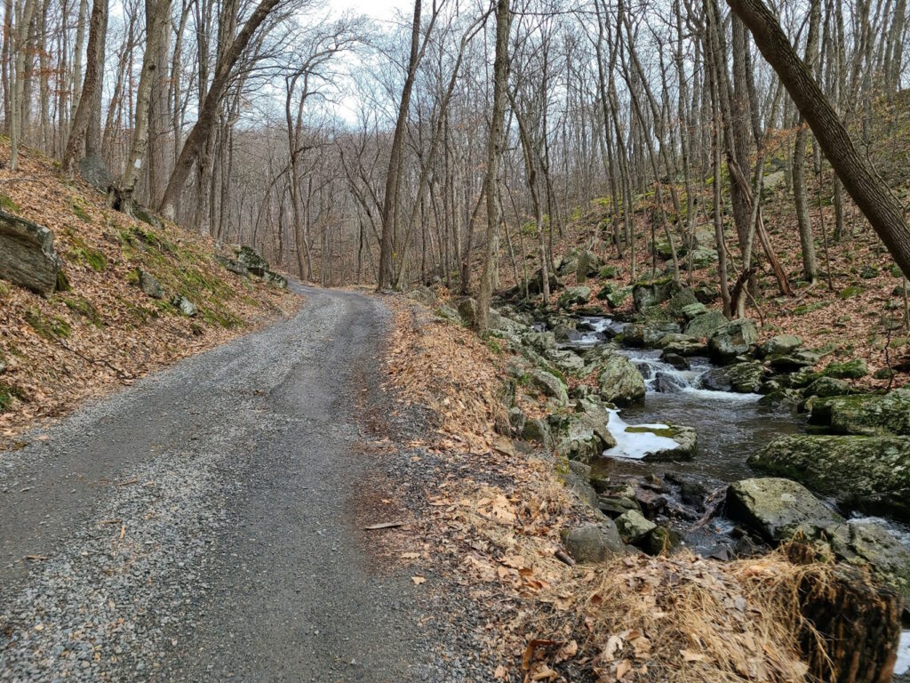 Views of the rugged, but beautiful Teetertown Ravine Preserve.