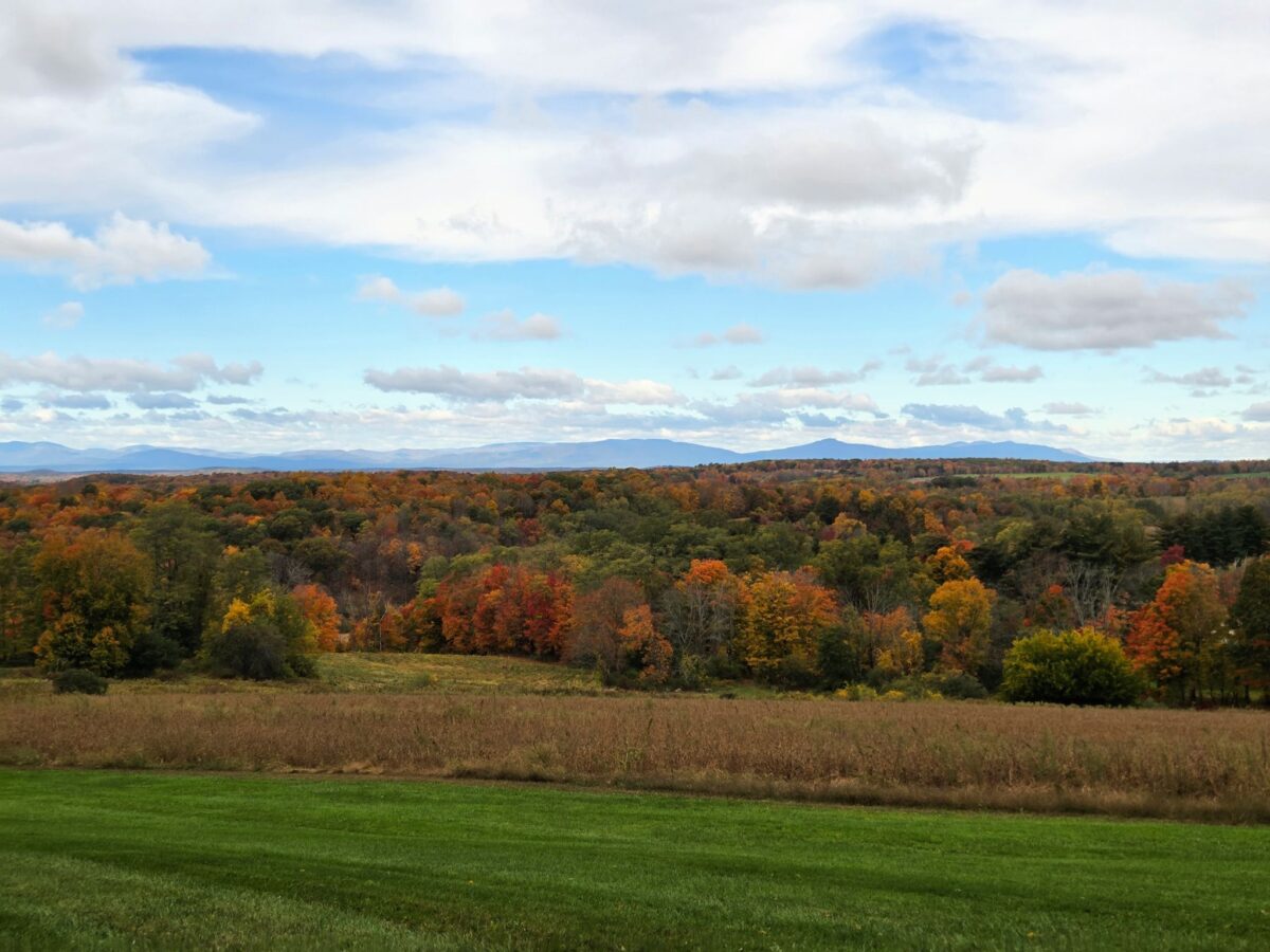 View of Catskills and Hudson Valley from Tower Hill Rd